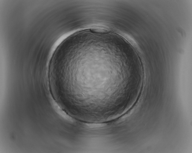 X0000114701200200910211246