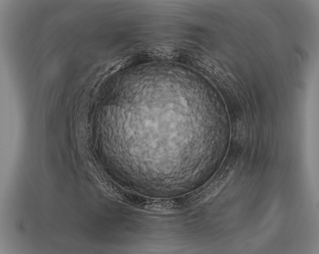 X0000114701201200910211245