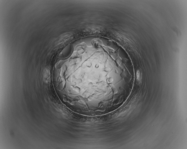 X0000114701203200910211245