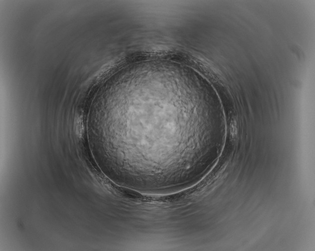 X0000114701204200910211245