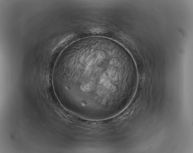 X0000114701205200910211245