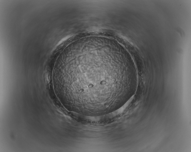 X0000114701206200910211245