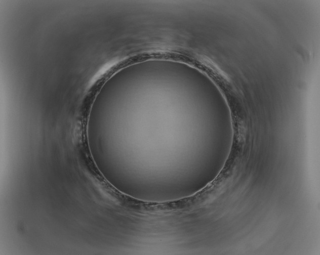 X0000114701208200910211245