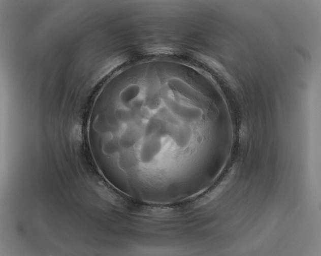 X0000114701209200910211245