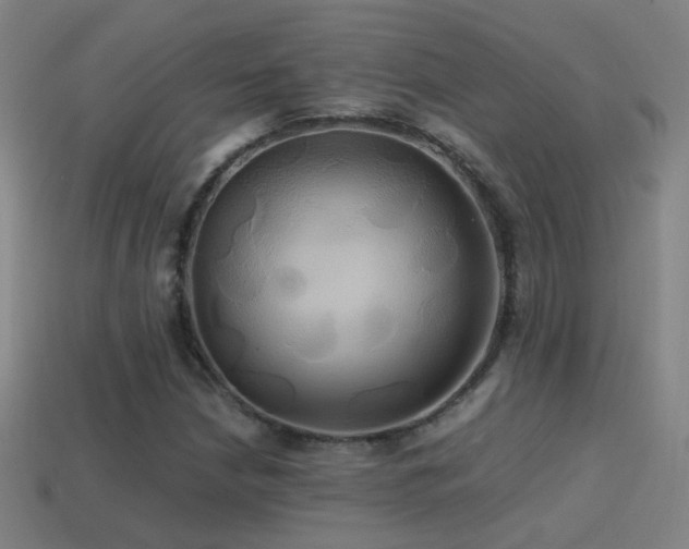 X0000114701210200910211245