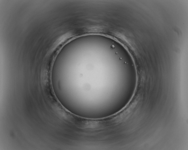 X0000114701211200910211245