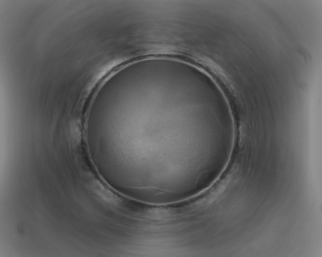 X0000114701212200910211245