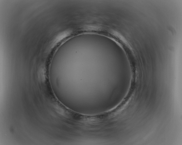 X0000114701213200910211245