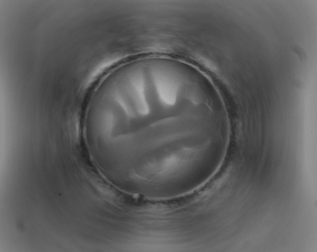 X0000114701214200910211245