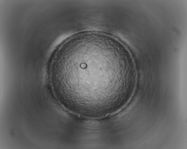 X0000114701215200910211245