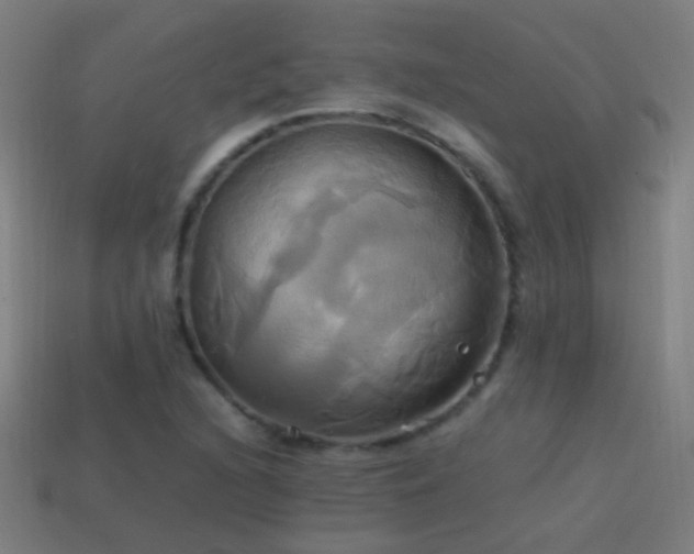 X0000114701216200910211245