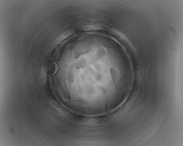 X0000114701217200910211245