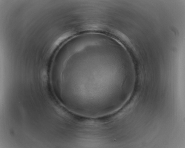 X0000114701218200910211245