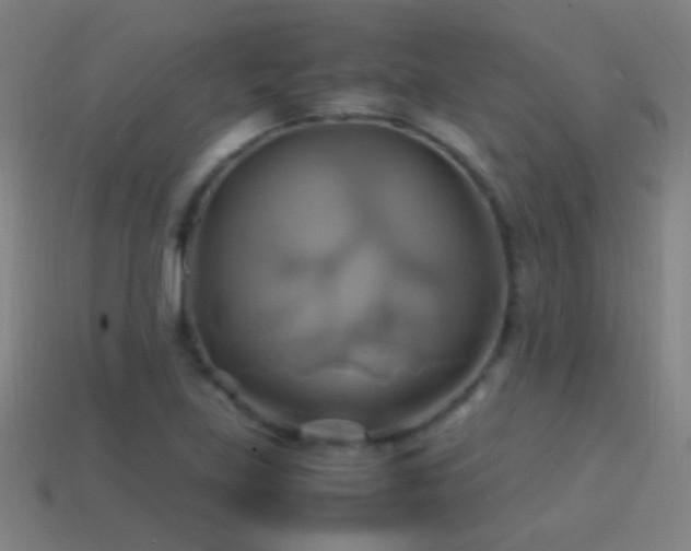 X0000114701219200910211245