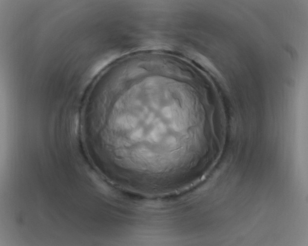 X0000114701220200910211245