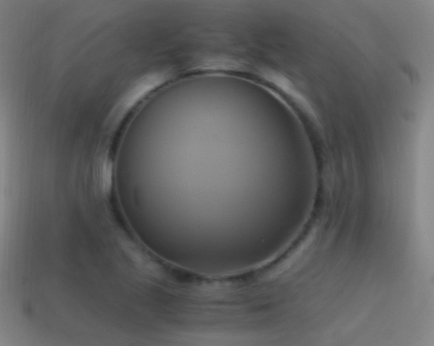 X0000114701221200910211245