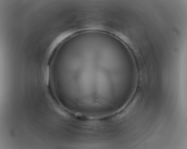 X0000114701223200910211245