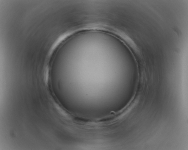 X0000114701224200910211245