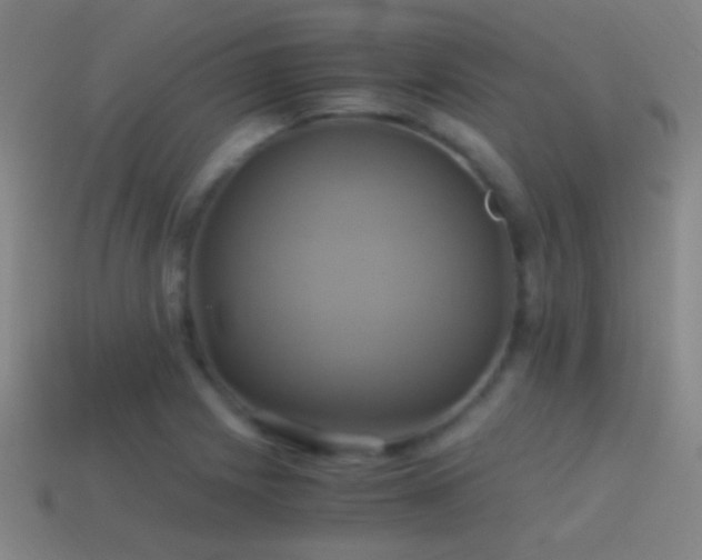 X0000114701225200910211245