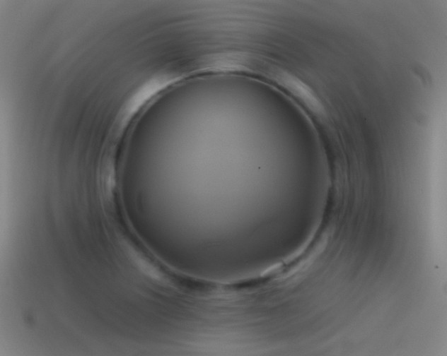 X0000114701226200910211245