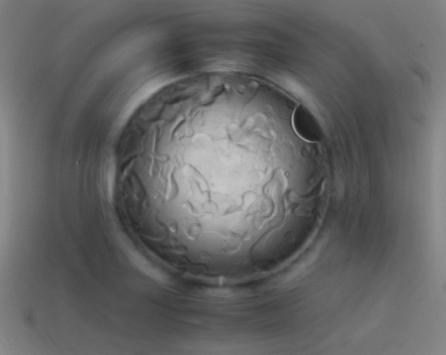 X0000114701227200910211245