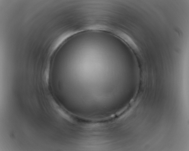 X0000114701228200910211245