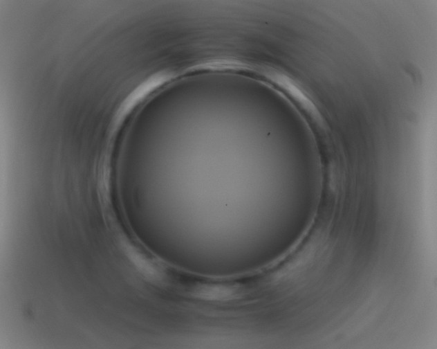 X0000114701229200910211245