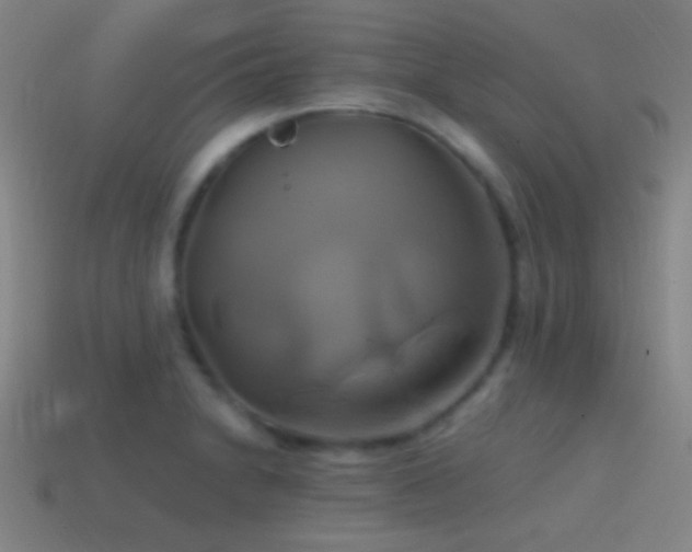 X0000114701230200910211245