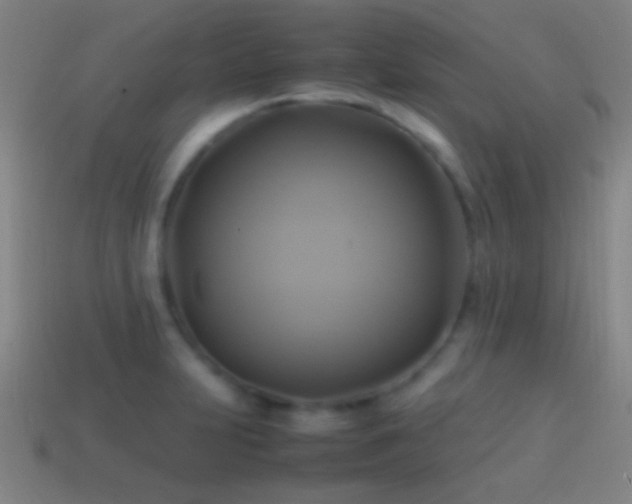 X0000114701231200910211245