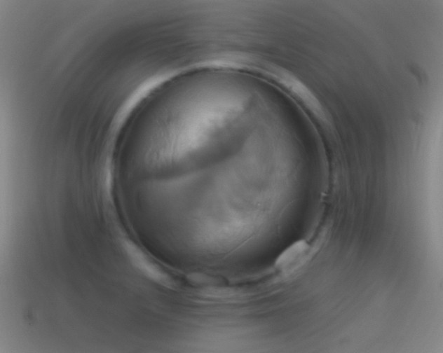 X0000114701232200910211245