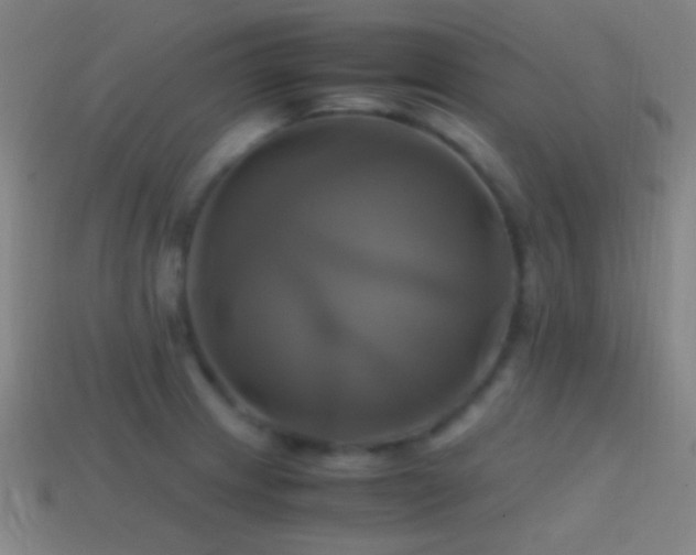 X0000114701233200910211245