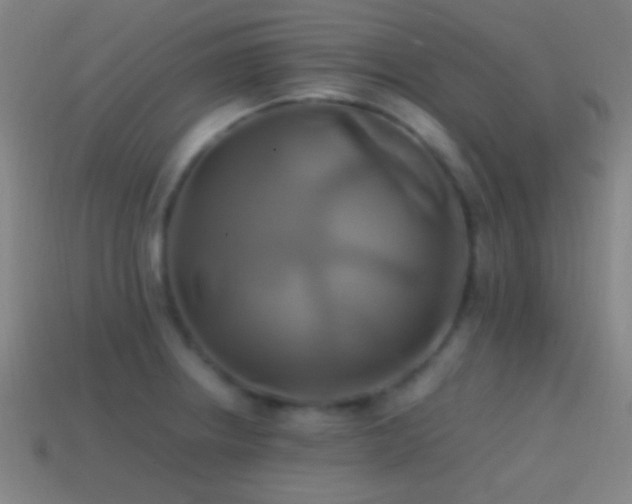 X0000114701234200910211245