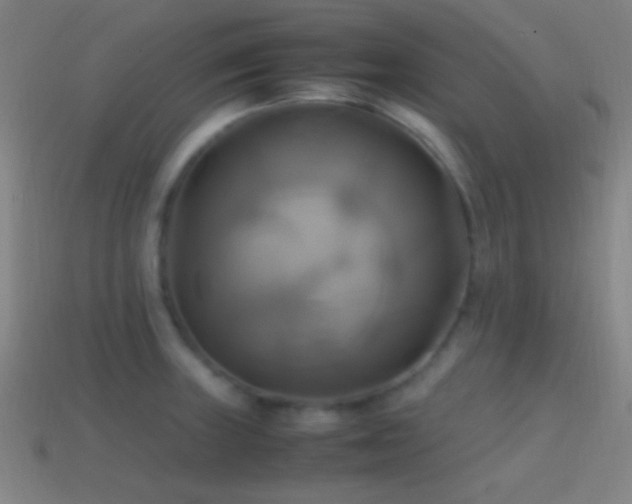 X0000114701235200910211245