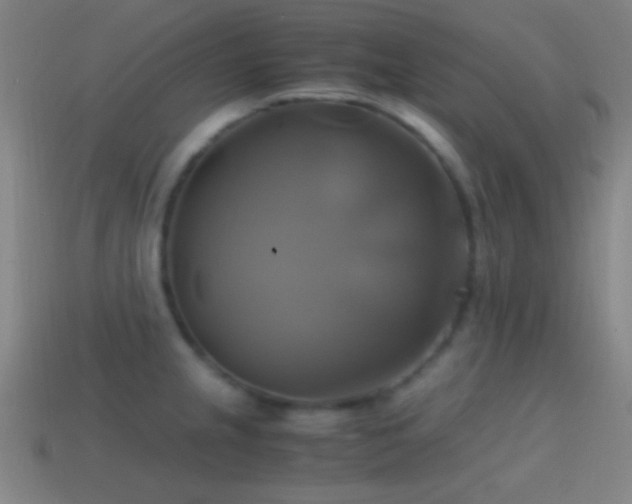 X0000114701237200910211245