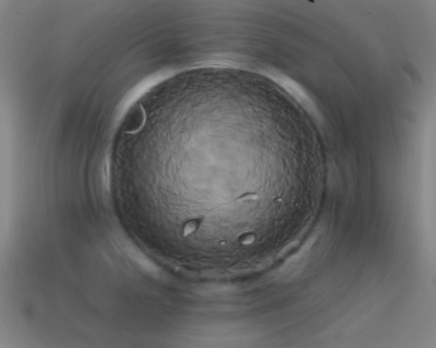 X0000114701238200910211245