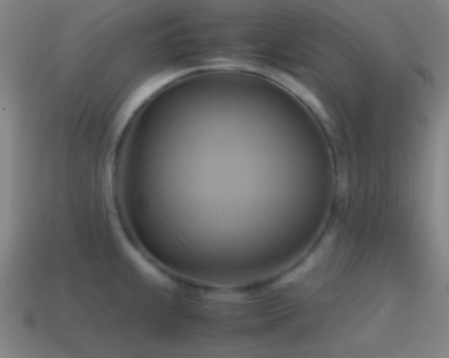 X0000114701239200910211245