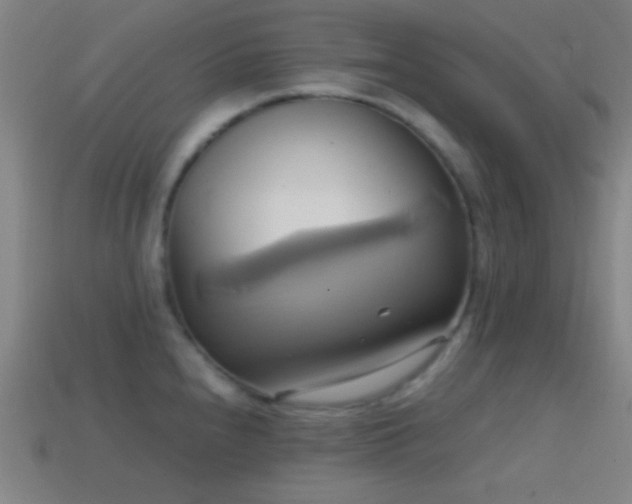 X0000114701240200910211245