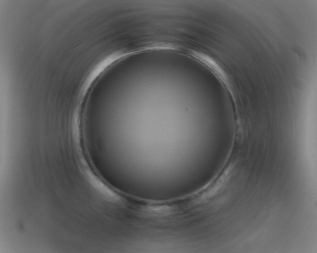 X0000114701243200910211245