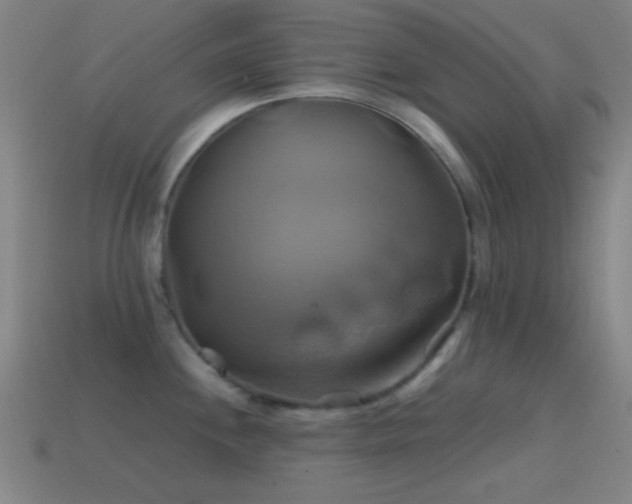 X0000114701244200910211245