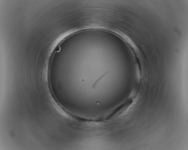 X0000114701246200910211245