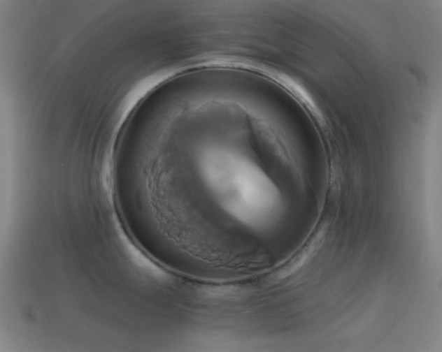 X0000114701247200910211245