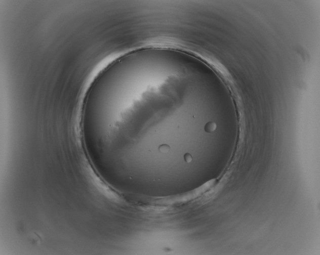 X0000114701248200910211246