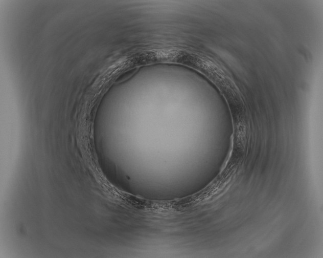 X0000114701249200910211245