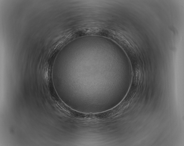 X0000114701250200910211245