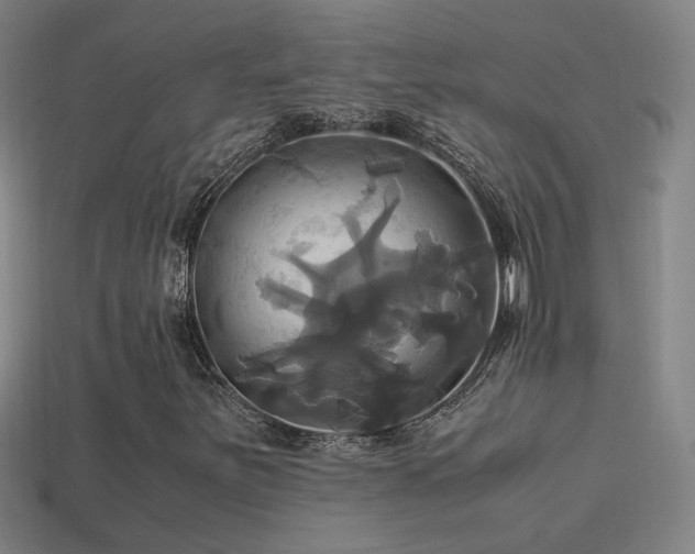 X0000114701251200910211245