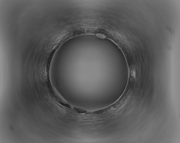 X0000114701252200910211245