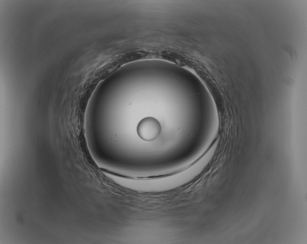 X0000114701253200910211245