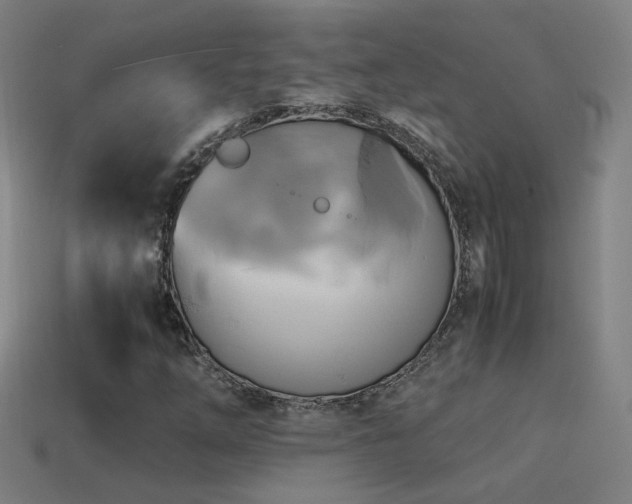 X0000114701254200910211245