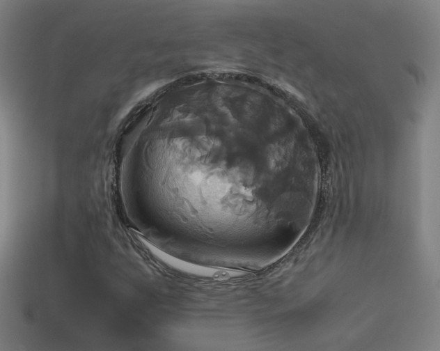 X0000114701255200910211245