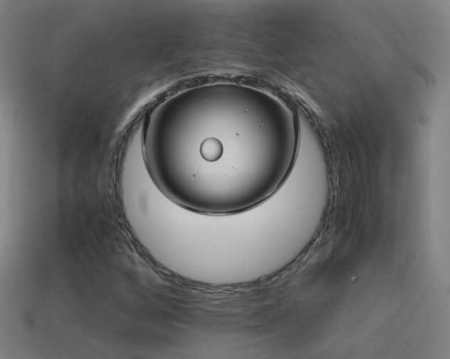 X0000114701256200910211245